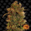 8 Ball Kush ist eine Cannabispflanze mit üppigen grünen Blättern und harzigen Blüten. Eine beliebte indica-dominante Sorte mit erdigen und würzigen Aromen. 