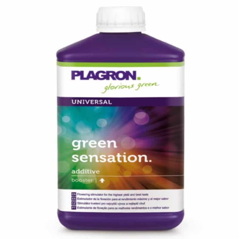 Green Sensation von Plagron: Maximiere die Blüte und den Ertrag deiner Pflanzen mit diesem leistungsstarken Blütestimulator.