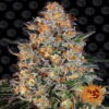 Bubba Kush - Eine beliebte und kraftvolle Cannabissorte mit entspannenden Eigenschaften. Genießen Sie die charakteristische Bubba Kush-Erfahrung mit dieser hochwertigen Sorte.