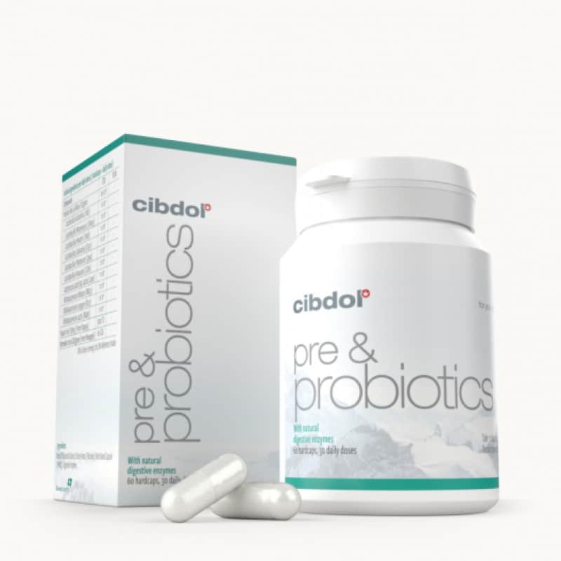 Pre & Probiotika Kapseln von Cibdol - Unterstütze deine Darmgesundheit mit den Pre & Probiotika Kapseln von Cibdol. Entdecke die Vorteile für eine ausgeglichene Verdauung.
