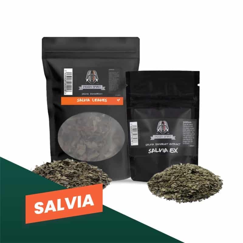 Salvia Divinorum