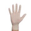Latexhandschuhe von SmokingHotXL: Schützende Latexhandschuhe für einen hygienischen und sicheren Umgang mit Pilzen.
