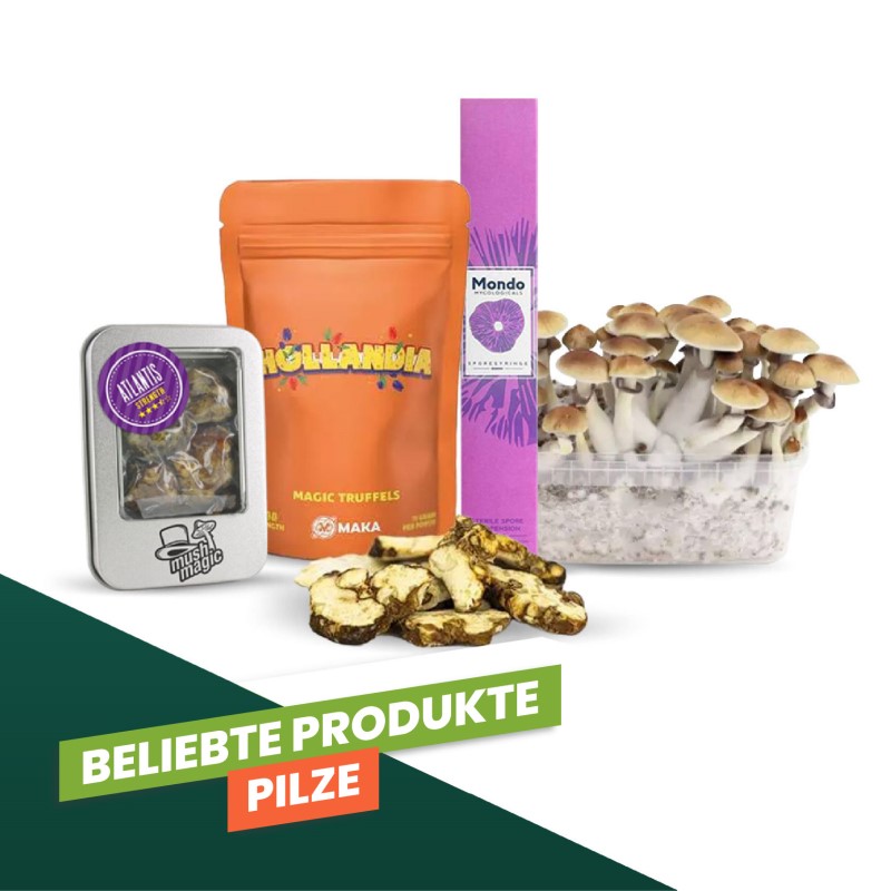 Beliebte Produkte Pilze