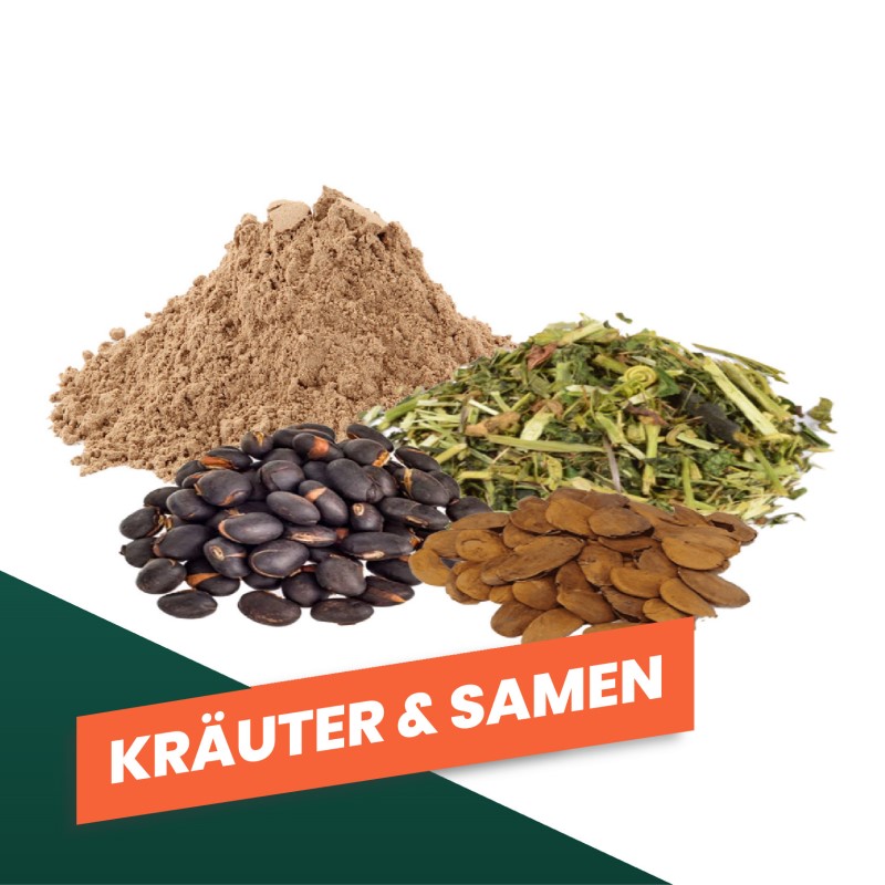 Kräuter & Samen